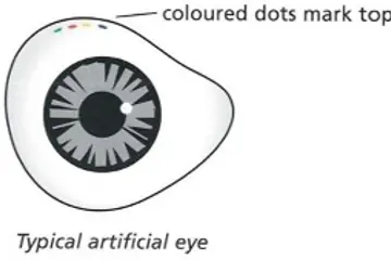 Diagram of an Artificial Eye With Coloured Dots