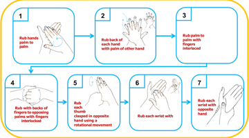 Seven steps to thorough hand washing.