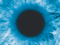 Iris placeholder icon