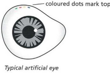 Artificial Eye With Coloured Dots