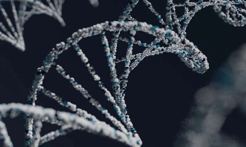 genome image in black and white