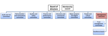 Board Committee without sub committee