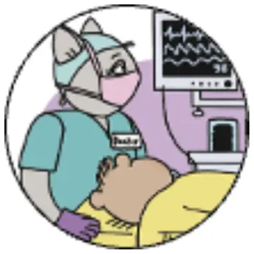 Cartoon animal theatre