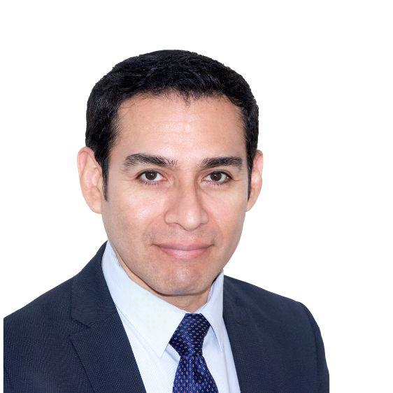 Mr Alfonso Vasque Perez