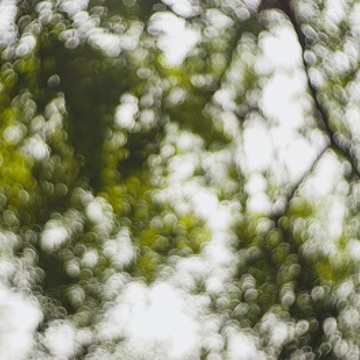 A pioneering study tackling visual snow - Moorfields Private