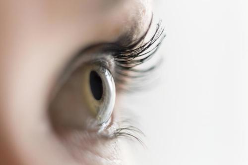 Close-up of an eye with long eyelashes